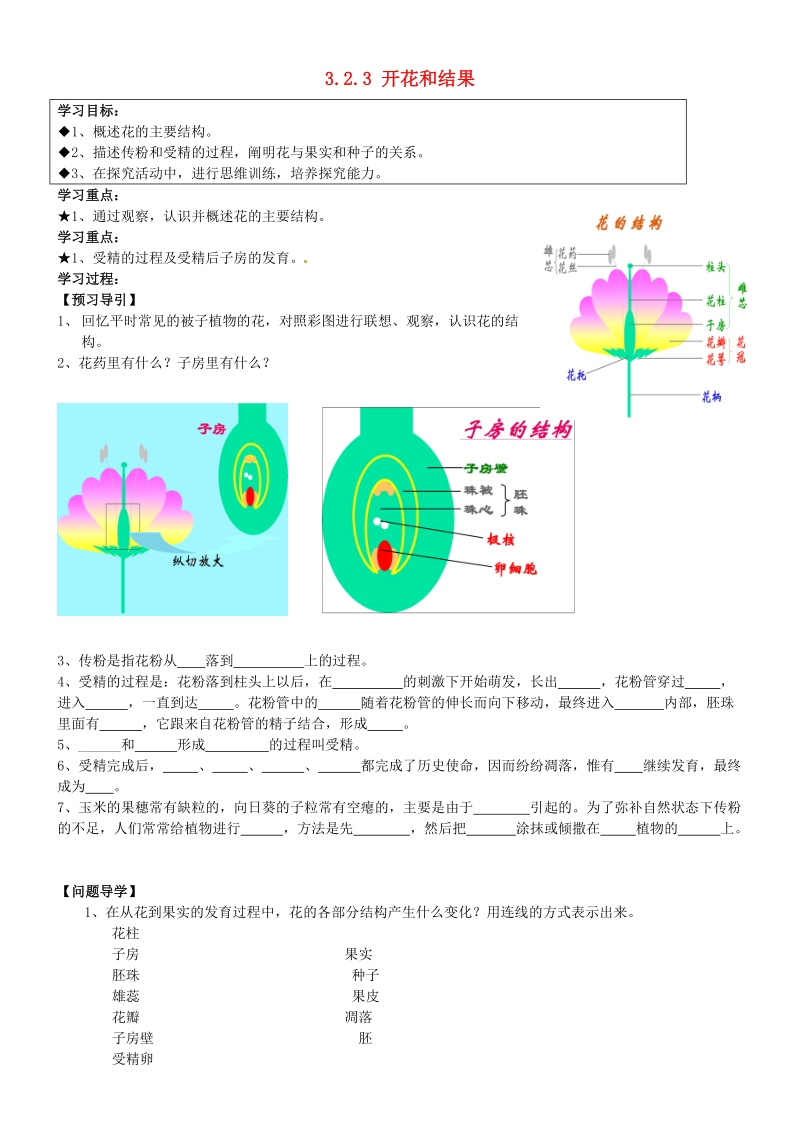 五常市第三中学七年级生物上册 3.2.3 开花和结果导学案（无答案） 新人教版.doc_第1页