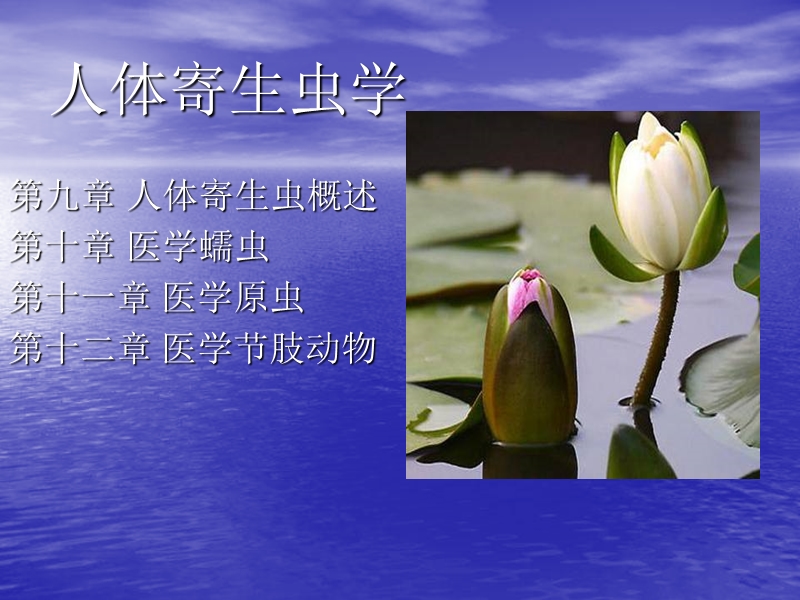 人体寄生虫学(讲稿).ppt_第1页