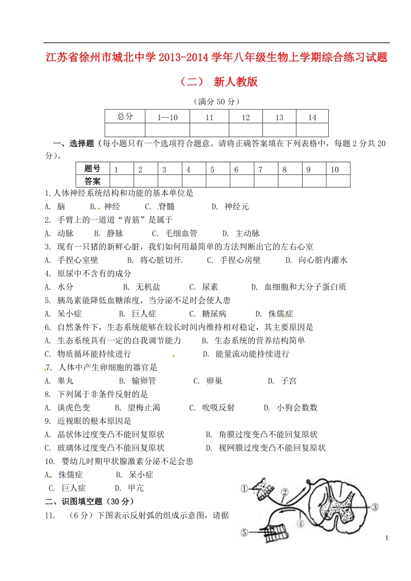 江苏省徐州市城北中学2013-2014学年八年级生物上学期综合练习试题（二） 新人教版.doc_第1页