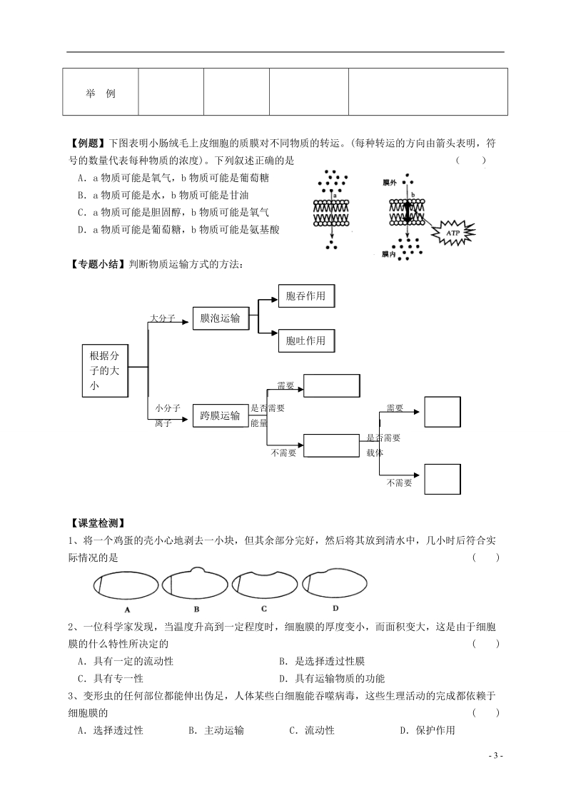 姜堰张甸中学高三生物一轮复习 物质跨膜运输方式教学案（无答案） 新人教版.doc_第3页