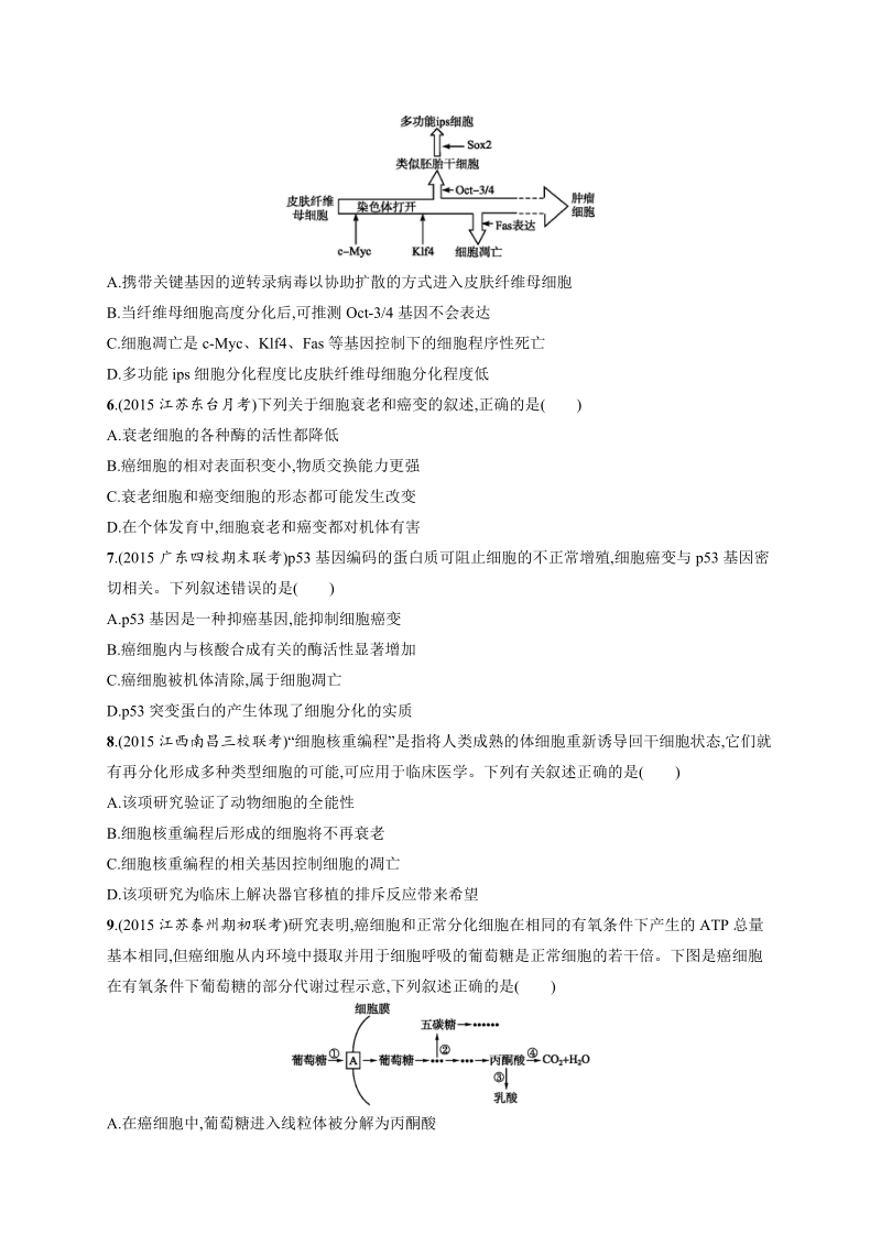 志鸿优化·2016高考生物二轮能力训练：专题6细胞的分化、衰老、凋亡和癌变.docx_第3页