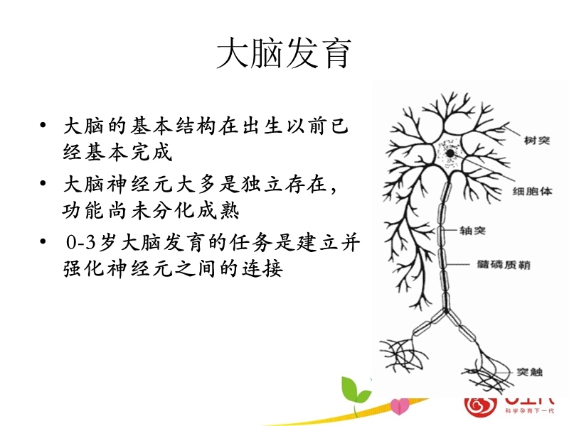 婴幼儿早期发展促进.ppt_第3页