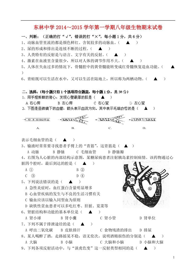 无锡市东林中学2014-2015学年八年级生物上学期期末考试试题 新人教版.doc_第1页