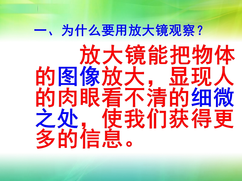 教科版六年级科学下册第一单元《放大镜》ppt.ppt_第2页