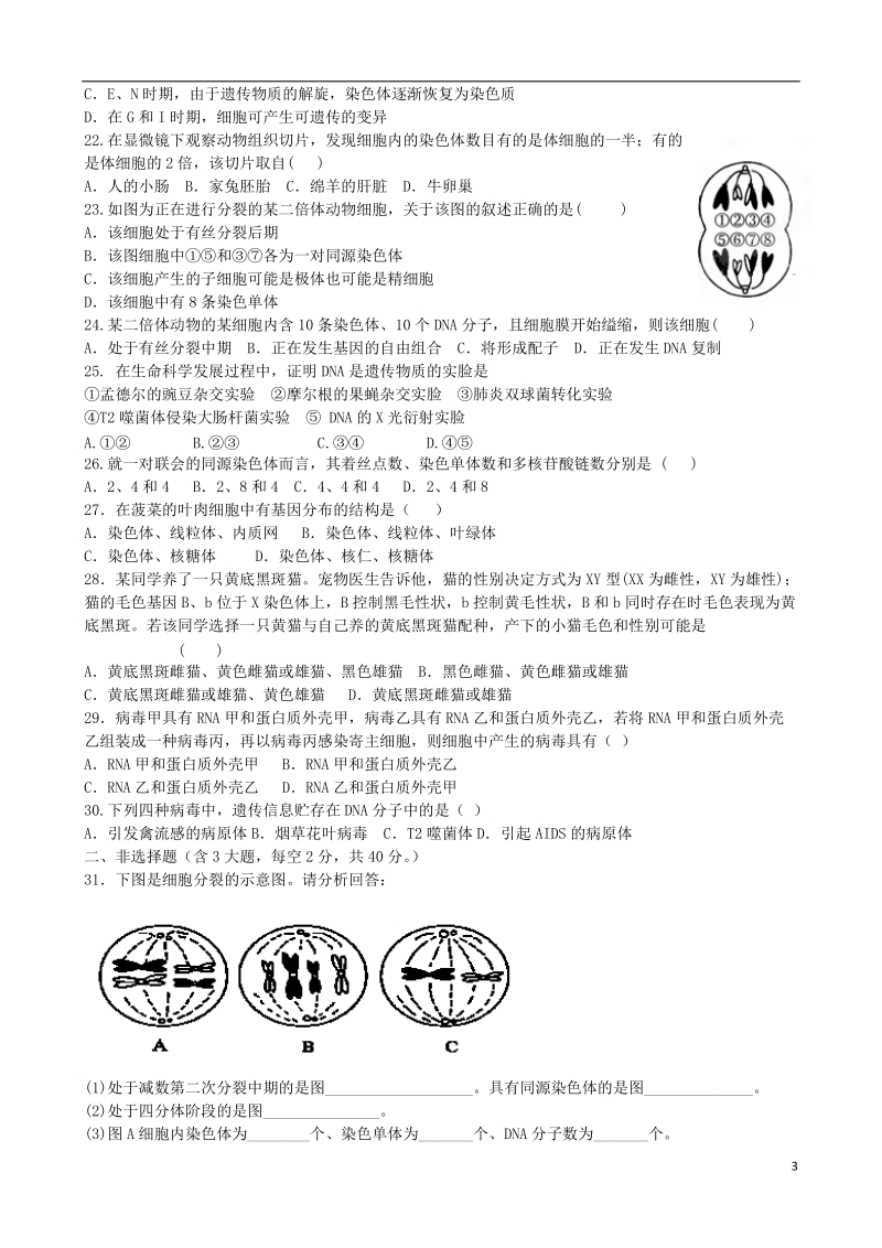 确山县第二高级中学2013-2014学年高一生物3月月考试题新人教版.doc_第3页