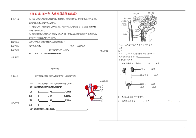 辽宁省抚顺市第二十六中学七年级生物下册《第11章 第一节 人体泌尿系统的组成》教学案 新人教版.doc_第1页