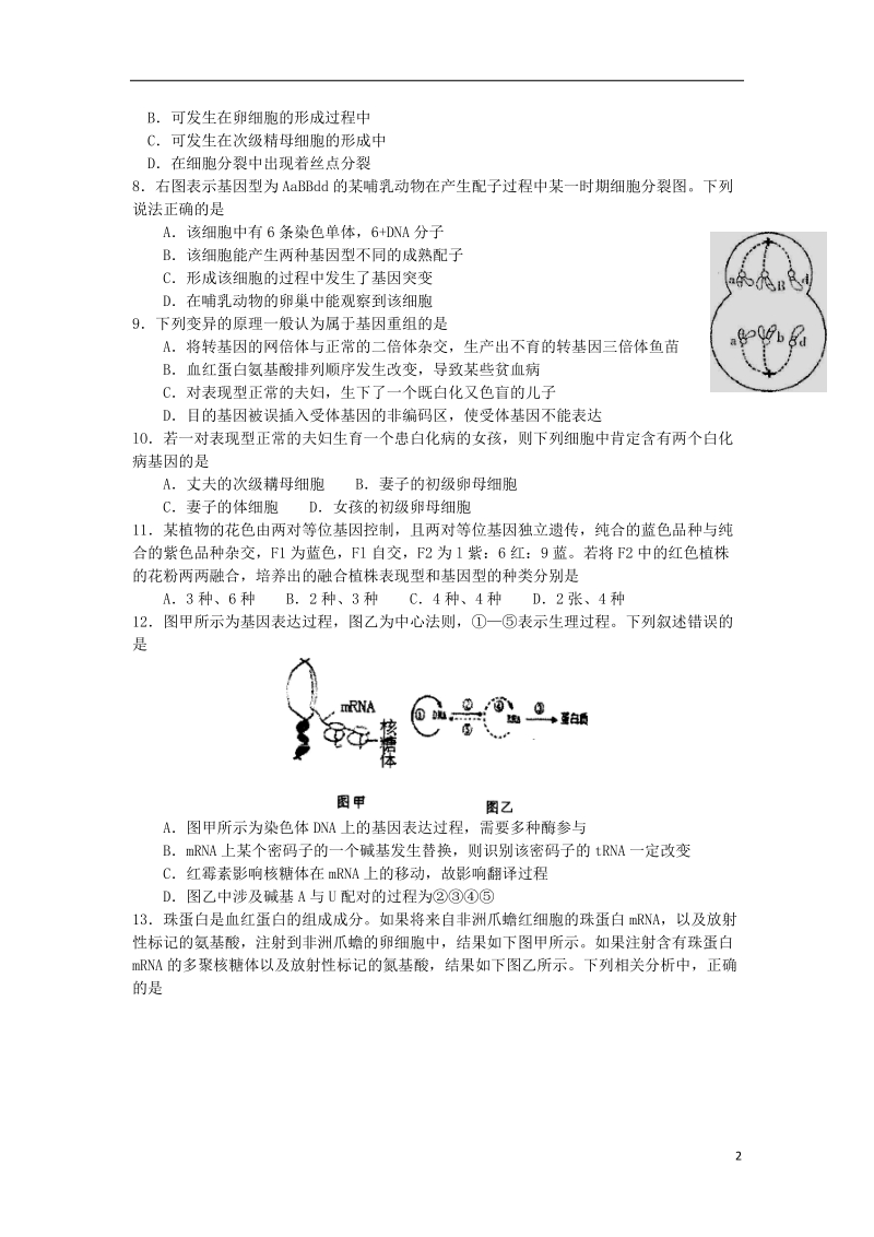 江苏省海安中学2014届高三生物12月质量检测试题苏教版.doc_第2页