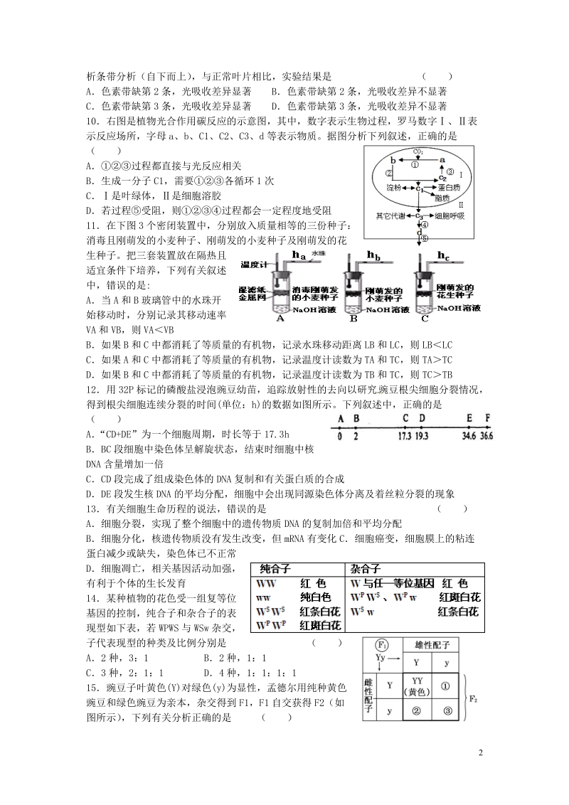 瑞昌二中2015届高三生物小题专练4.doc_第2页