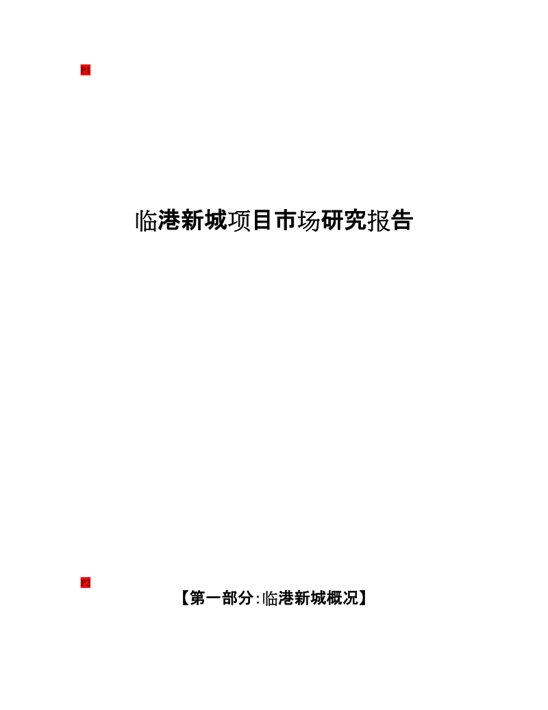 临港新城项目可行性研究报告090317n.doc_第1页