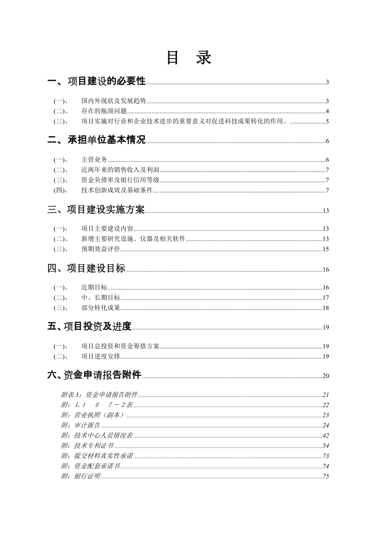 企业技术创新能力建设项目申报材料.doc_第2页