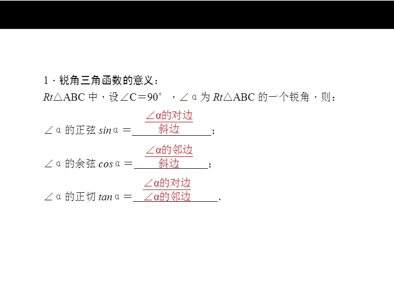 第20讲　锐角三角函数和解直角三角形.ppt_第2页