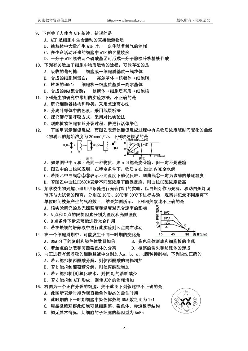 吉林省吉林市普通高中2013届高三上学期期末考试_生物.doc_第2页