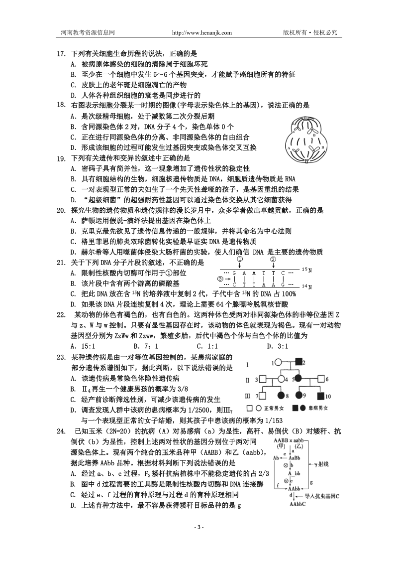 吉林省吉林市普通高中2013届高三上学期期末考试_生物.doc_第3页