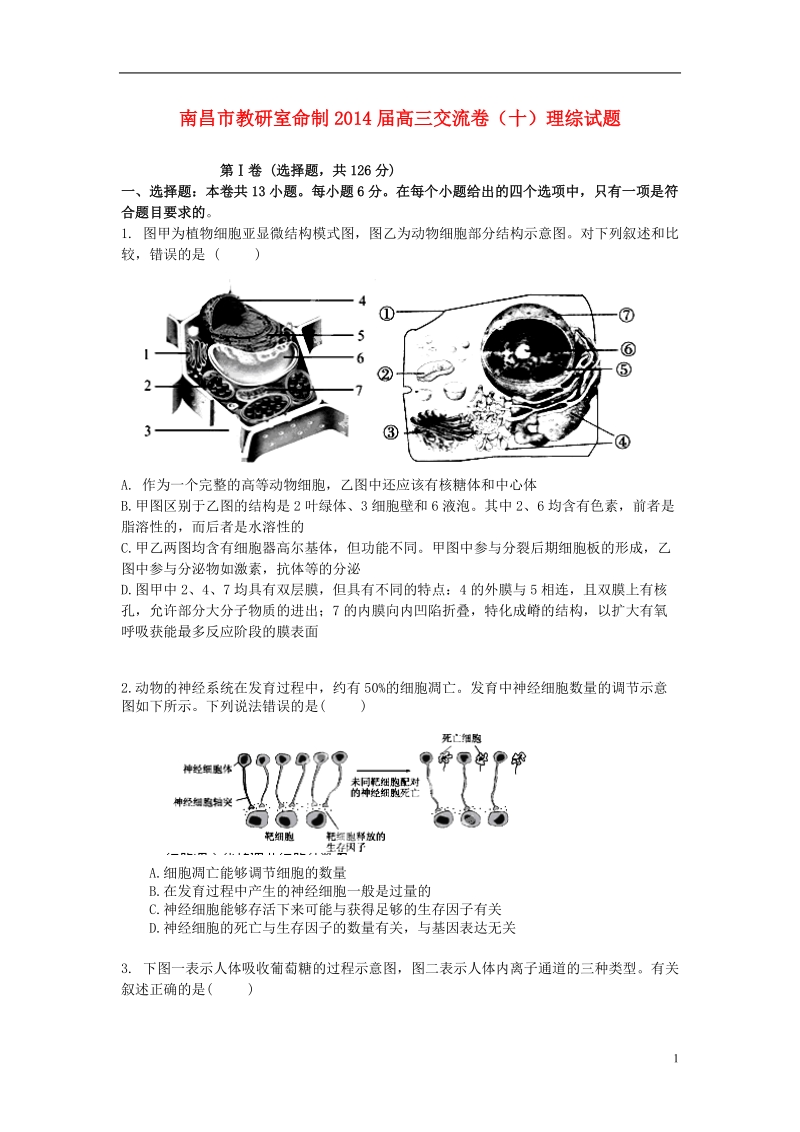 江西省南昌市教研室命制2014届高三理综（生物部分）交流卷试题（十）.doc_第1页