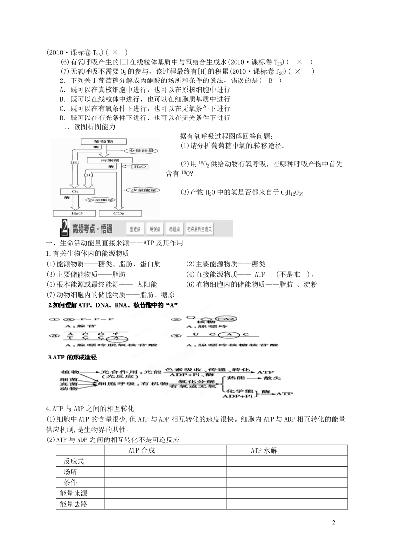 浠水县洗马高级中学2015届高考生物一轮复习 细胞呼吸补课资料.doc_第2页