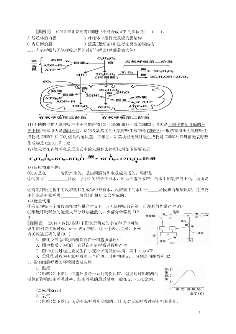 浠水县洗马高级中学2015届高考生物一轮复习 细胞呼吸补课资料.doc_第3页