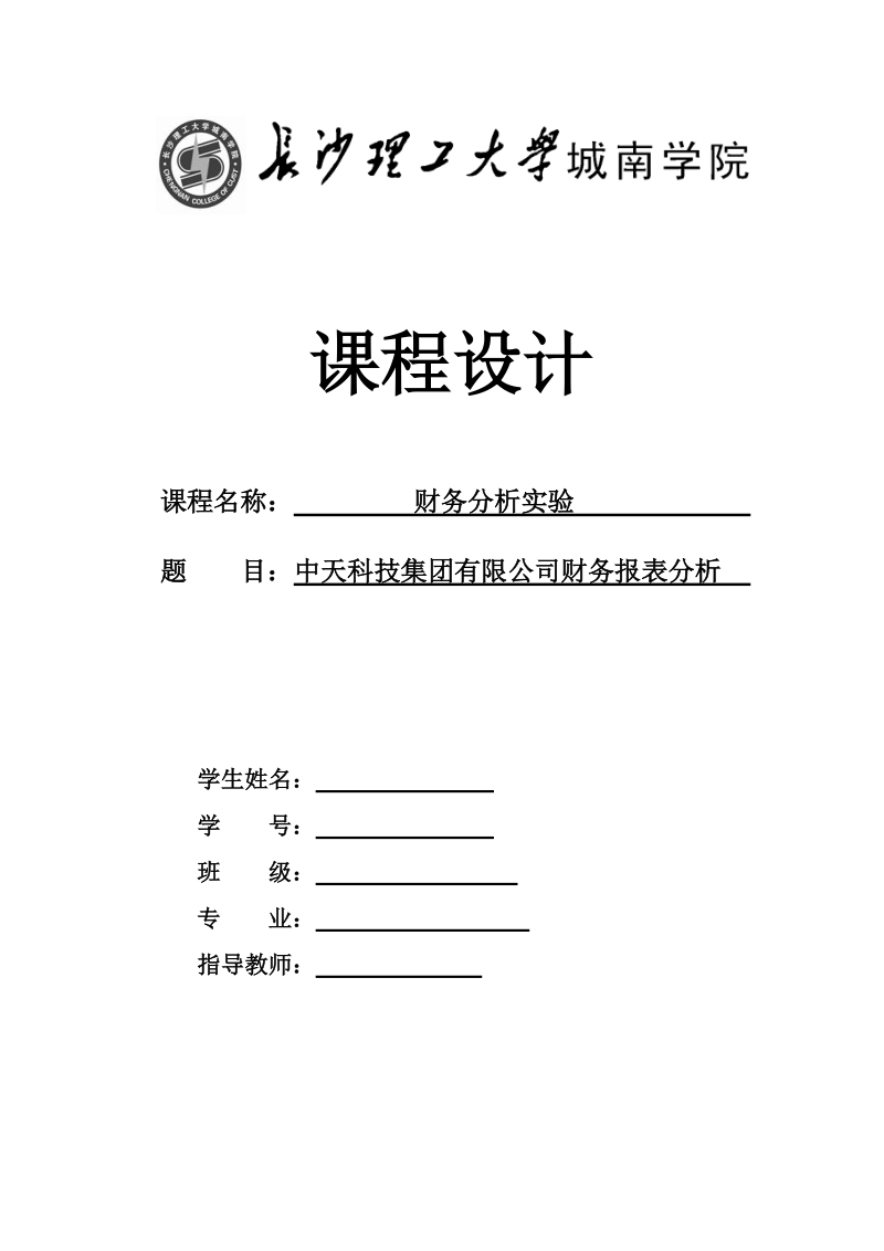 中天科技集团有限公司财务报表分析.doc_第1页