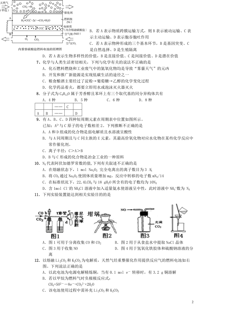 重点中学盟校2015届高三理综第一次十校联考试题.doc_第2页