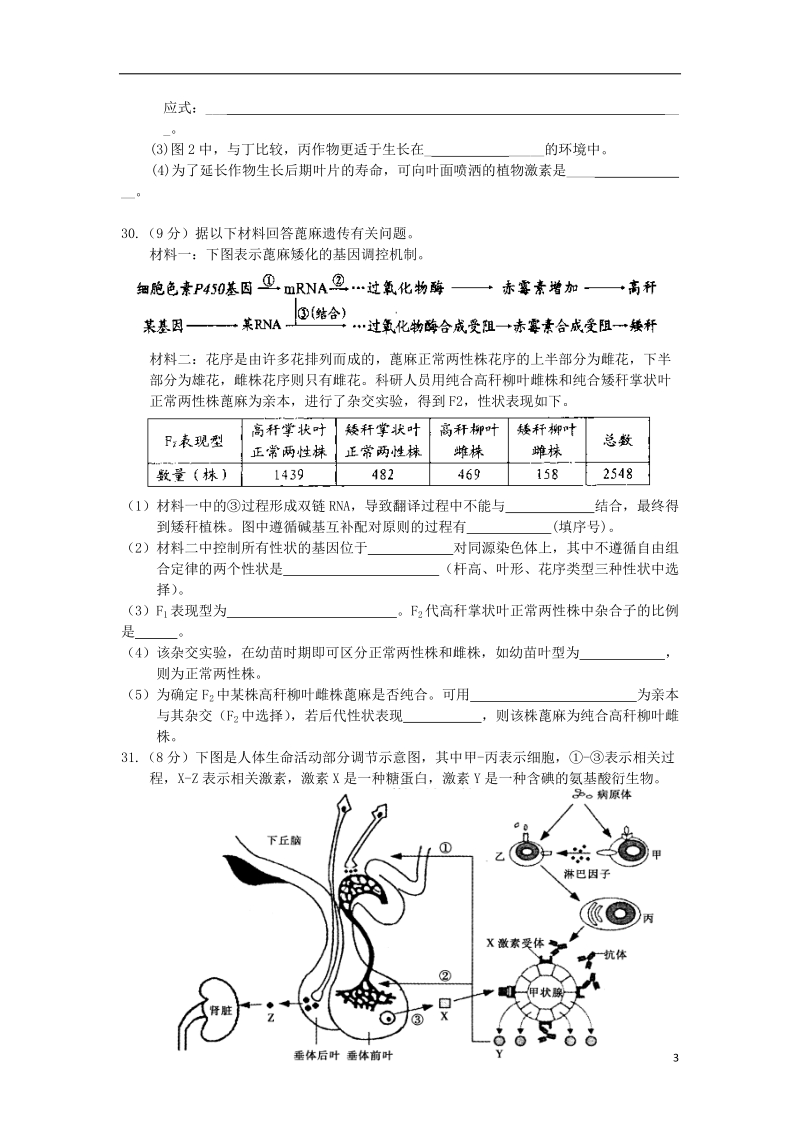 江西省南昌市新建二中2014届高三理综（生物部分）模拟试题（一）新人教版.doc_第3页