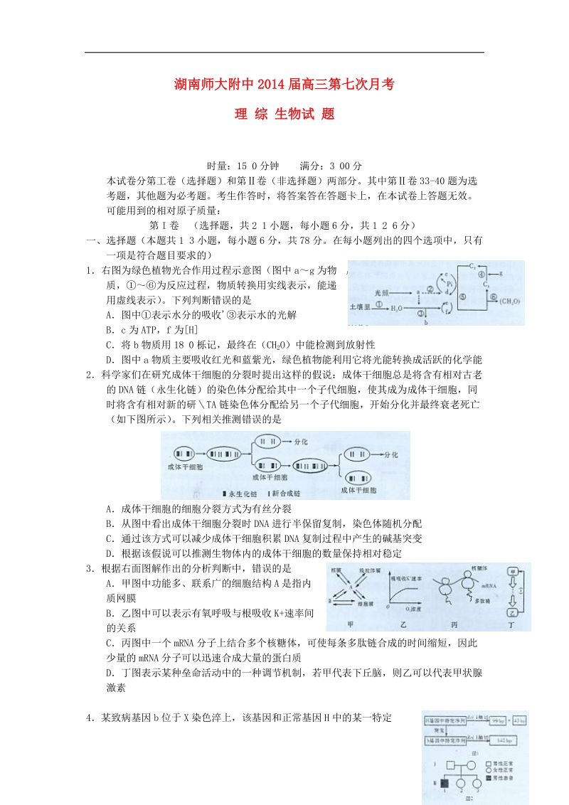 湖南师大附中2014届高三生物第七次月考试题新人教版.doc_第1页