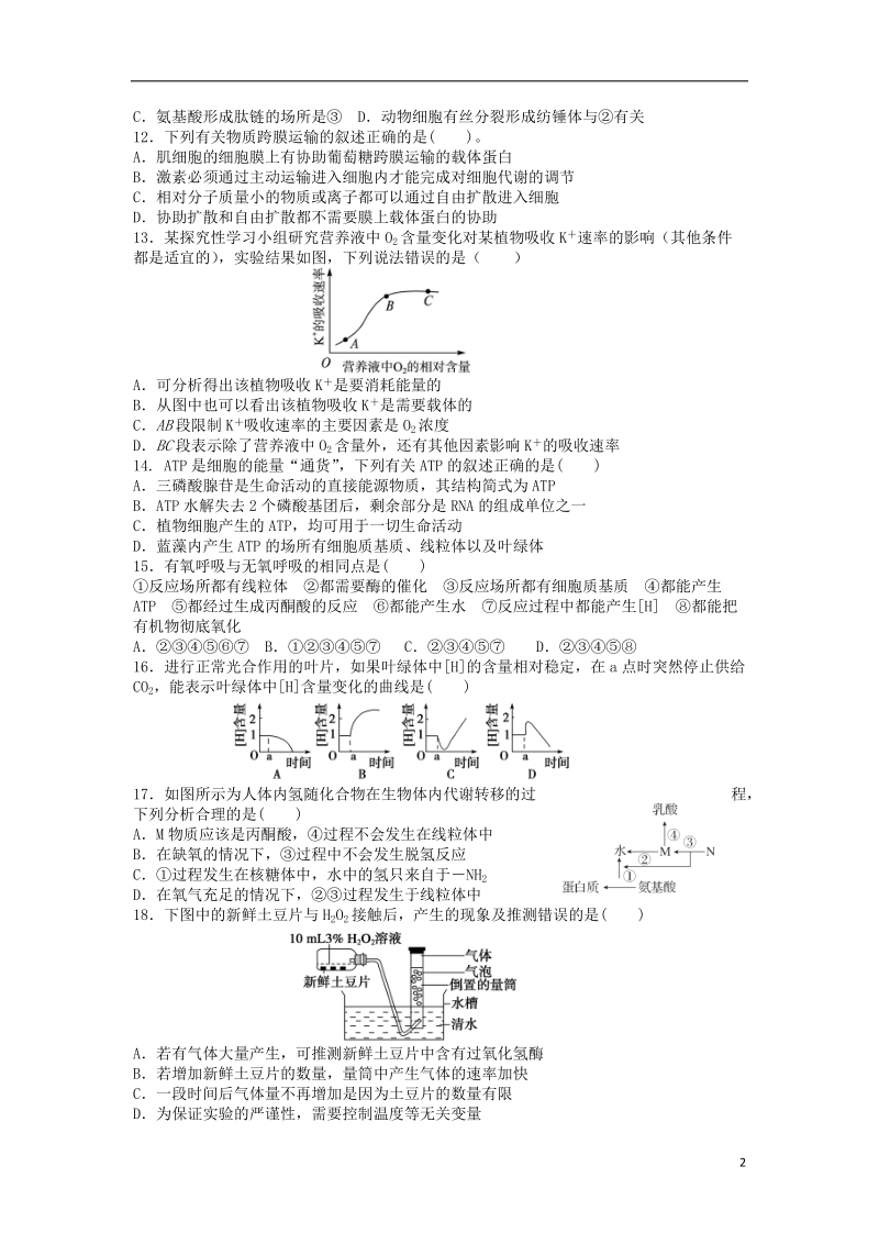 辽宁省沈阳市回民中学2014届高三生物第二次月考试题（无答案）新人教版.doc_第2页