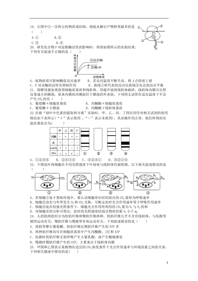 辽宁省沈阳市回民中学2014届高三生物第二次月考试题（无答案）新人教版.doc_第3页