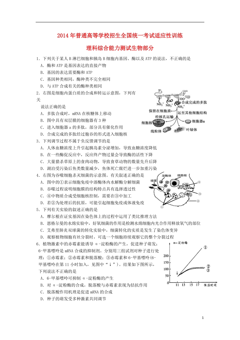 西工大附中2014届高三生物上学期第三次适应性训练试题新人教版.doc_第1页