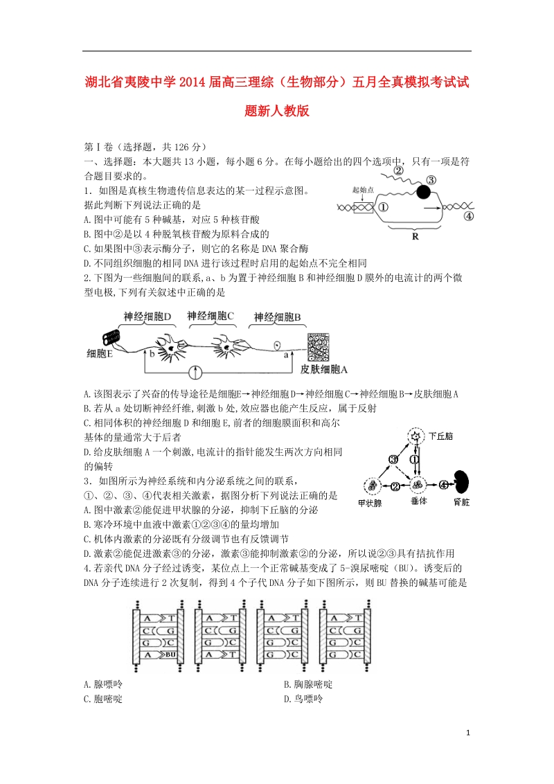 湖北省夷陵中学2014届高三理综（生物部分）五月全真模拟考试试题新人教版.doc_第1页