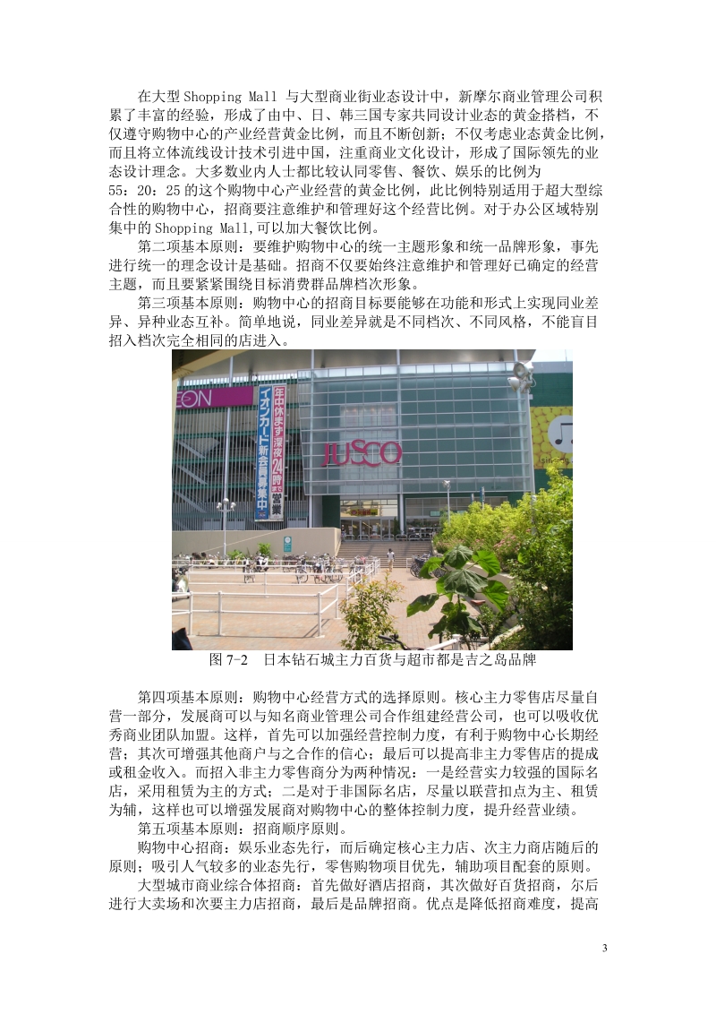 大型mall与步行街招商策划及招商计划实施.doc_第3页