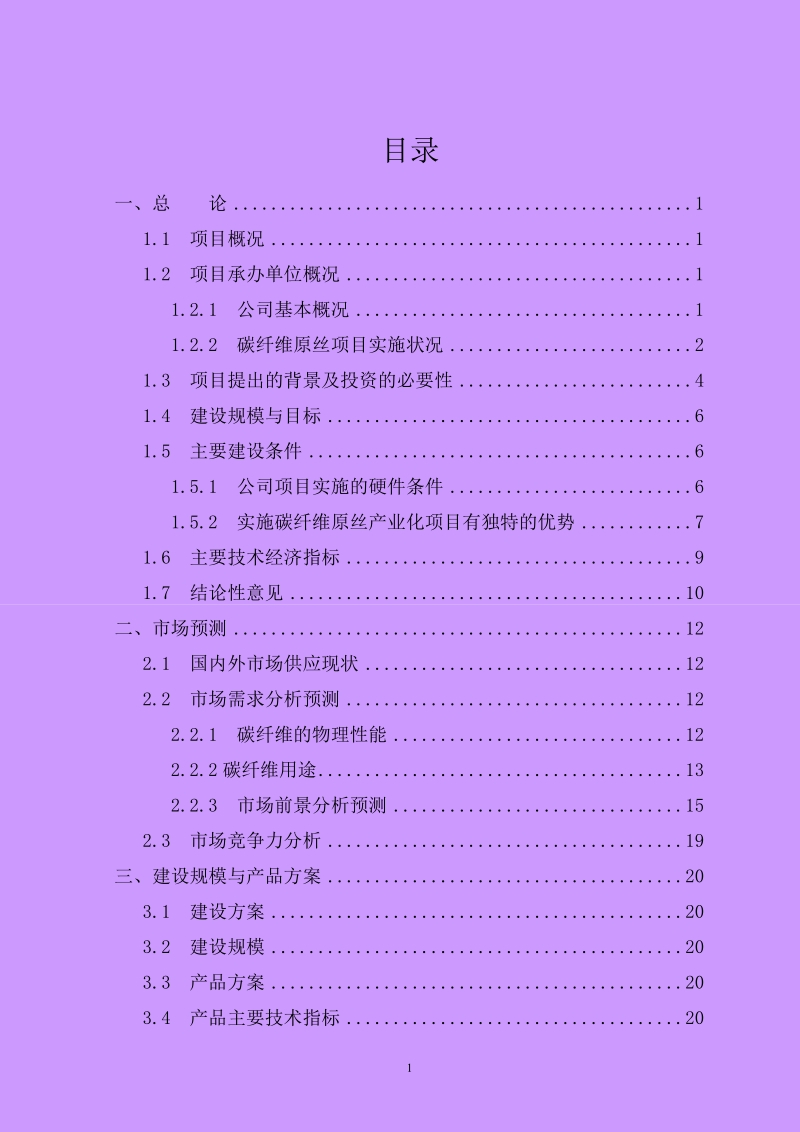 年产12万吨pan基碳纤维原丝建设项目可行性研究报告.doc_第2页