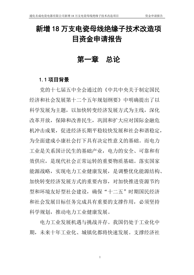 新增18万支电瓷母线绝缘子技术改造项目资金申请报告.doc_第1页