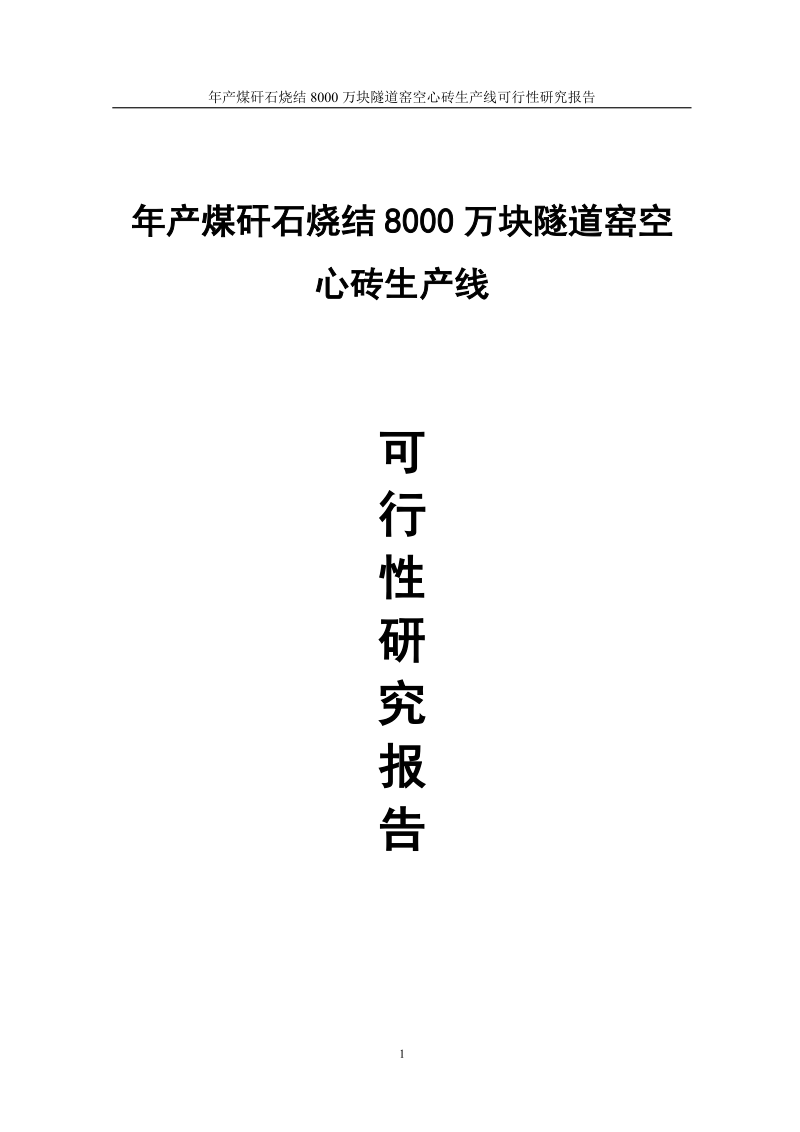 年产煤矸石烧结8000万块隧道窑空心砖生产线可行性研究报告.doc_第1页