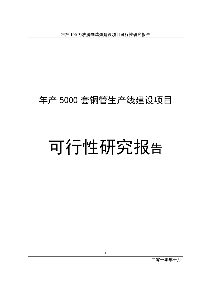 年产5000套铜管生产线建设项目可行性研究报告.doc_第1页