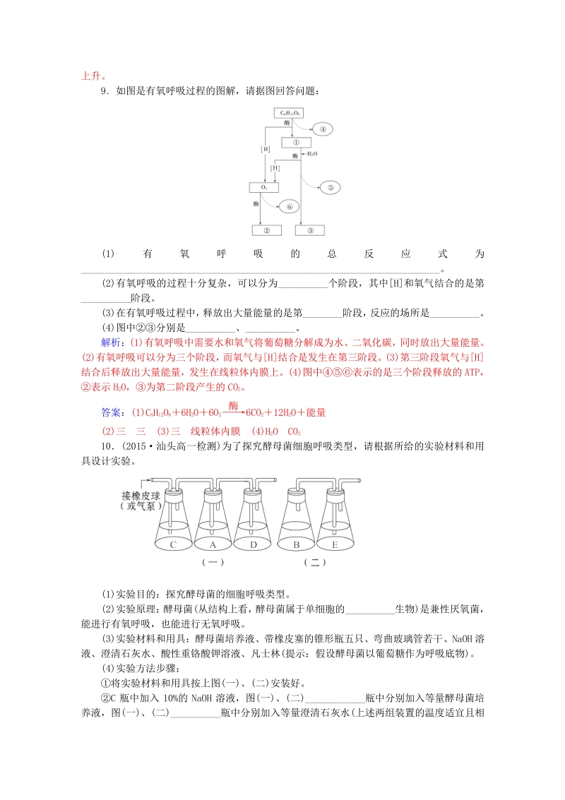 2015-2016学年高一生物知能提升训练：5.3.1《ATP的主要来源-细胞呼吸》（新人教版必修1）   Word版含解析.pdf_第3页