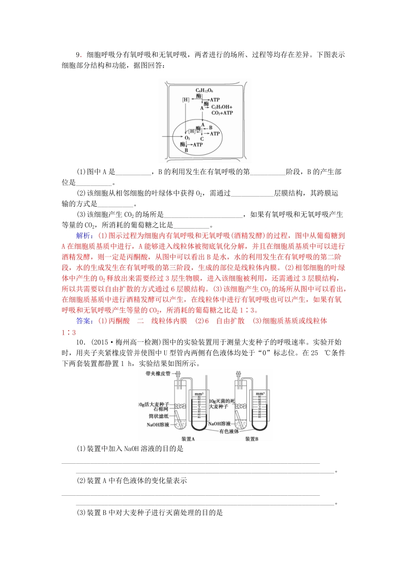 2015-2016高中生物 5.3.2ATP的主要来源-细胞呼吸知能提升 新人教版必修1.doc_第3页