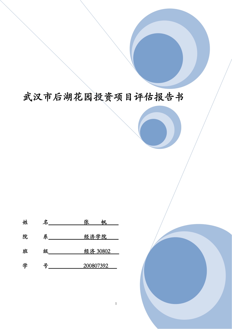 武汉后湖花园投资项目可行性研究报告.doc_第1页