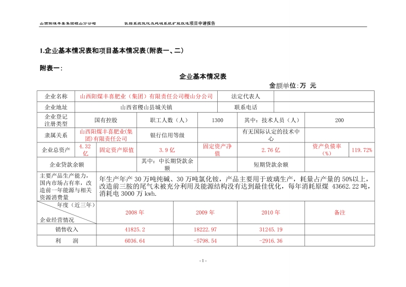 氨醇系统优化及纯碱系统扩能改造节能资金项目申请报告.doc_第3页