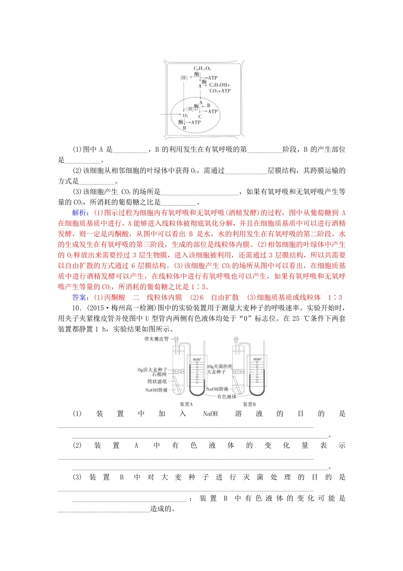 2015-2016学年高一生物知能提升训练：5.3.2《ATP的主要来源-细胞呼吸》（新人教版必修1）   Word版含解析.pdf_第3页