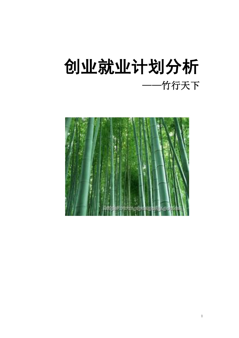 竹韵竹天下创业计划书.doc_第1页