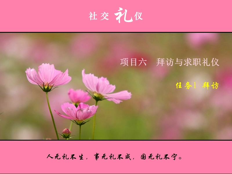 《社交礼仪》拜访礼仪 PPT.ppt_第1页