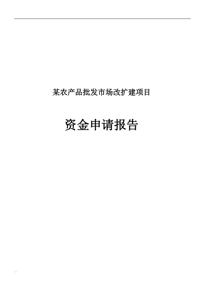 某农产品批发市场改扩建资金审核报告.doc_第1页