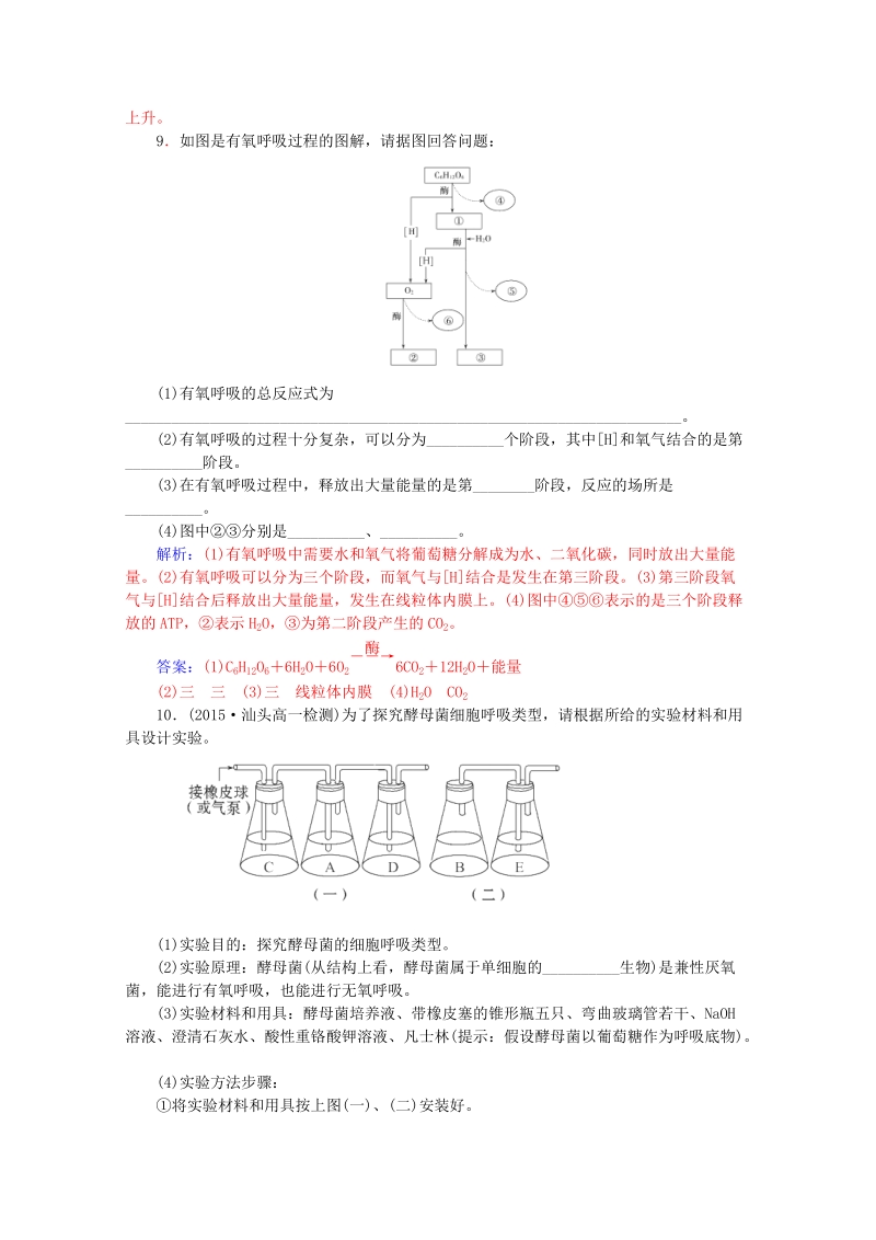 2015-2016学年高一生物知能提升训练：5.3.1《ATP的主要来源-细胞呼吸》（新人教版必修1）   Word版含解析.doc_第3页