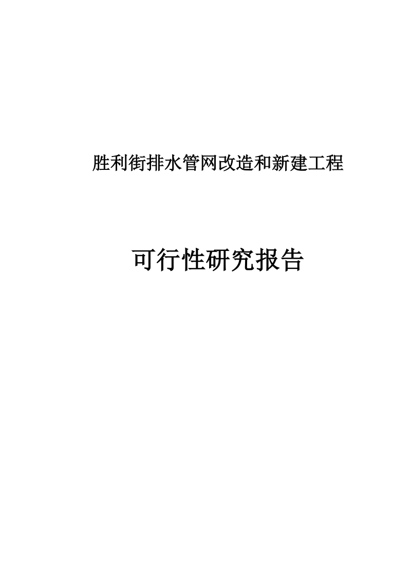 胜利街排水管网改造暨新建工程可行性研究报告.doc_第1页