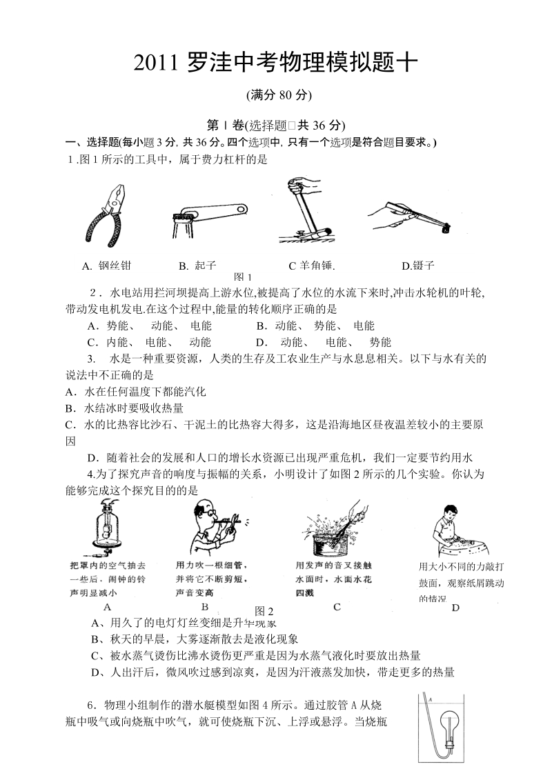 2011罗洼中考物理模拟题及答案(十).doc_第1页