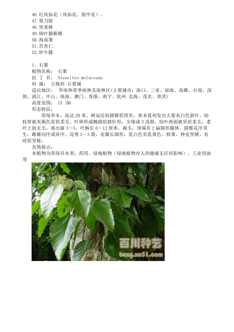 认识52种常见致癌植物(含图片)_.doc_第2页