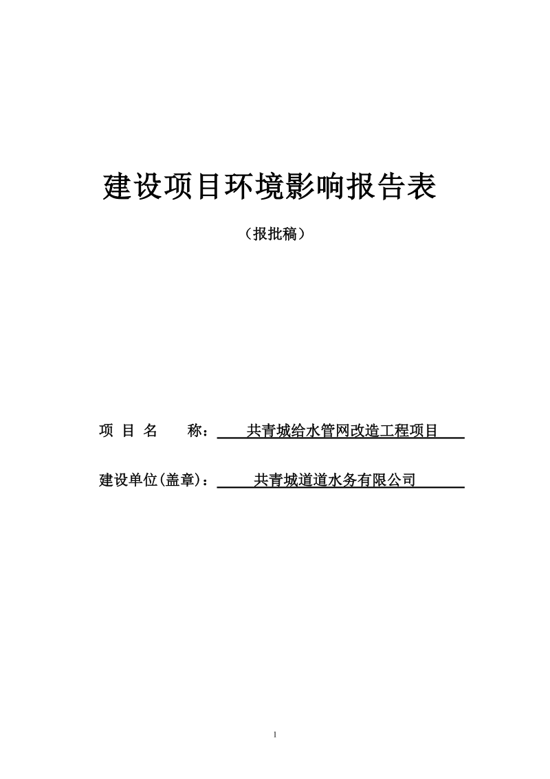 给水管网改造工程项目环境影响报告表.doc_第1页