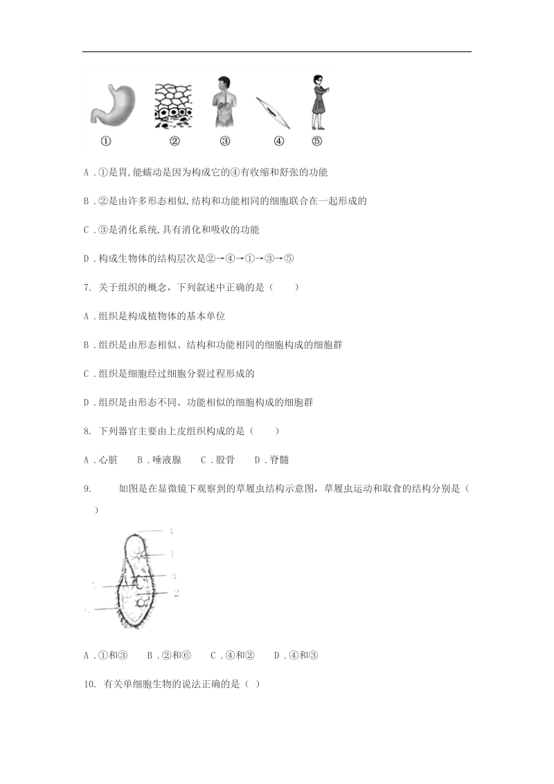 2018年七年级生物上册第二单元第二章细胞怎样构成生物体练习题（无答案）（新版）新人教版.doc_第2页