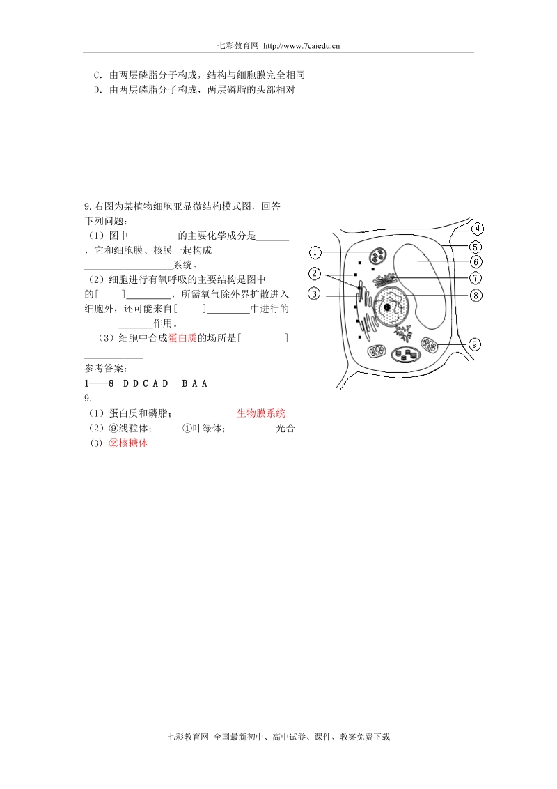 2009高考生物20分钟专题突破2：细胞的结构和功能.doc_第2页