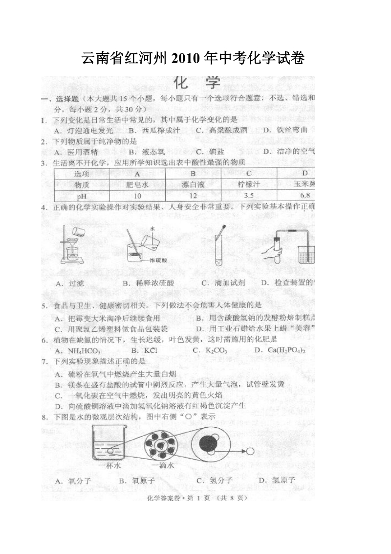 云南省红河州2010年中考化学试卷.doc_第1页