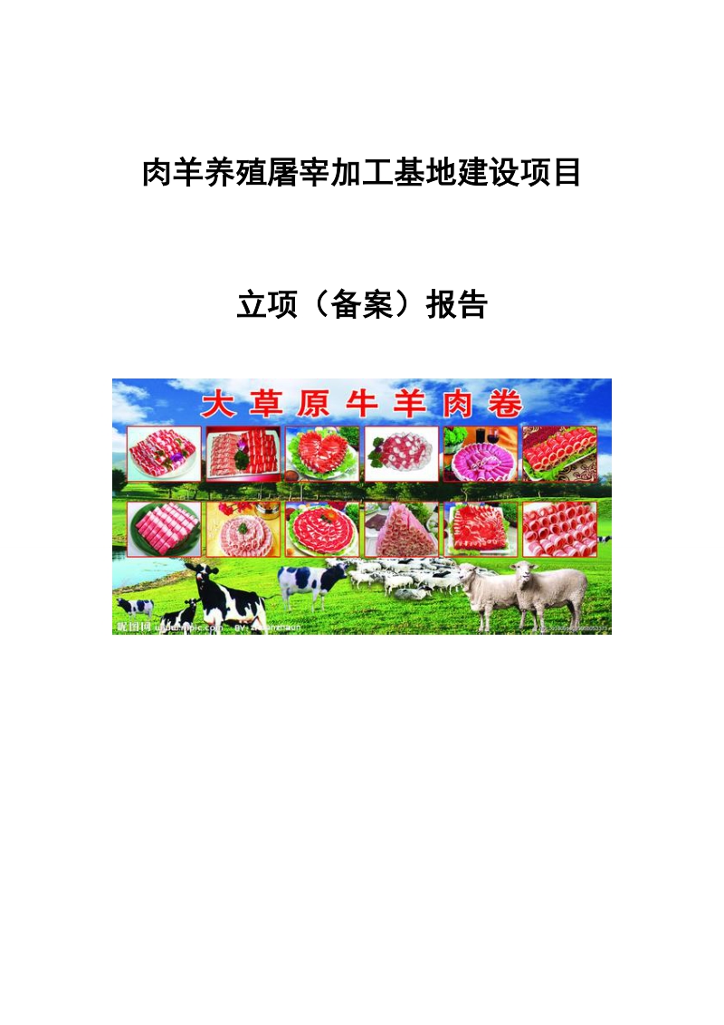 肉羊屠宰包装加工项目申报书.doc_第1页